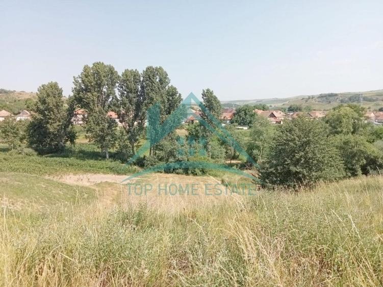 Teren Construcții intravilan de 3000 mp, în Corușu