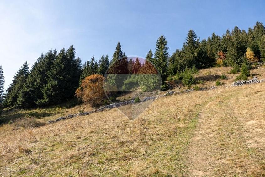 Teren Construcții intravilan de 4500 mp, în Fundata