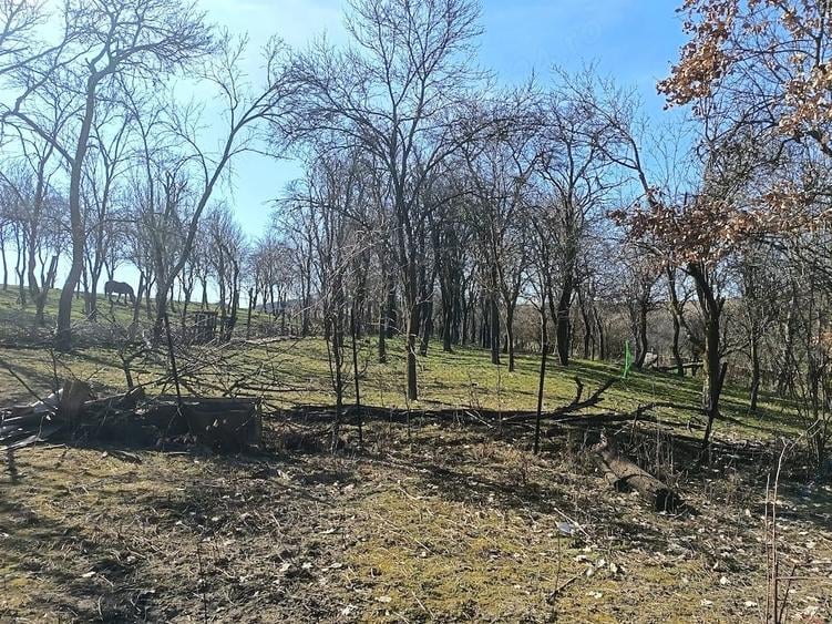 Casă cu Teren 1565 Mp în Sângătin