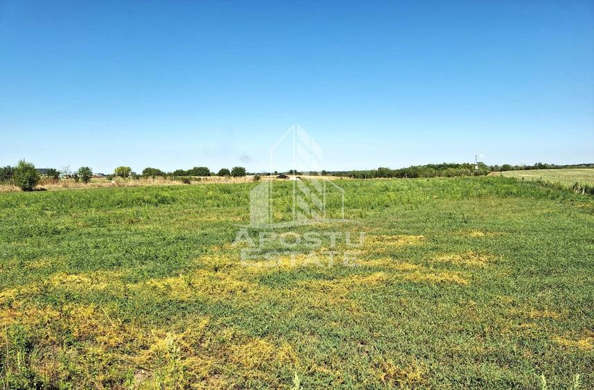 Teren Construcții intravilan de 6150 mp, în Zădăreni