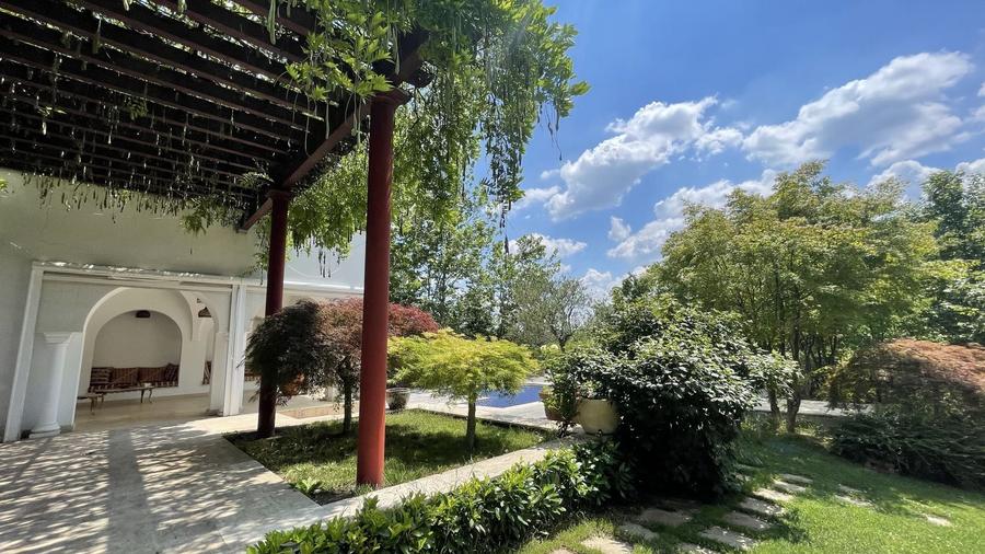 Casă individuală cu 10 camere cu Piscina în Balotești
