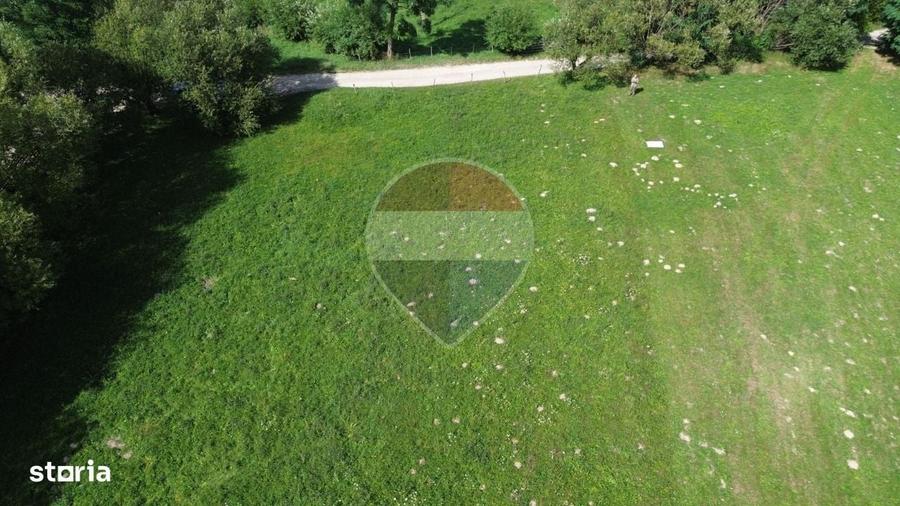 Ocazie! Teren 2885 mp Bran- Predelut / Strada Pe Tarina nr. 70A - 5