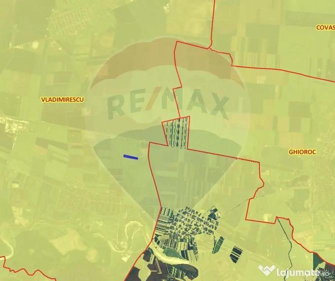 Teren 26,900mp com. Vladimirescu - 1