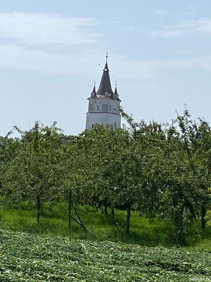 Teren în Hărman