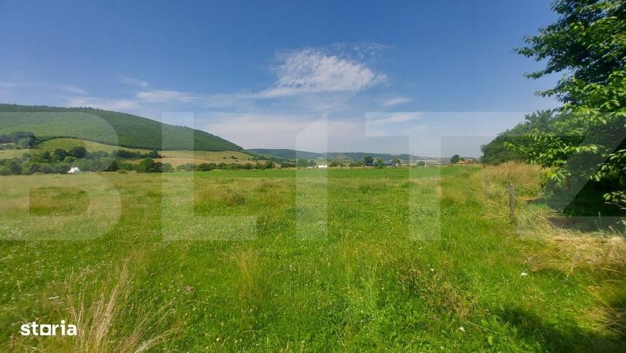 Casa + teren intravil, 3.6 ha I Zagon I Potential turistic si investit - 11