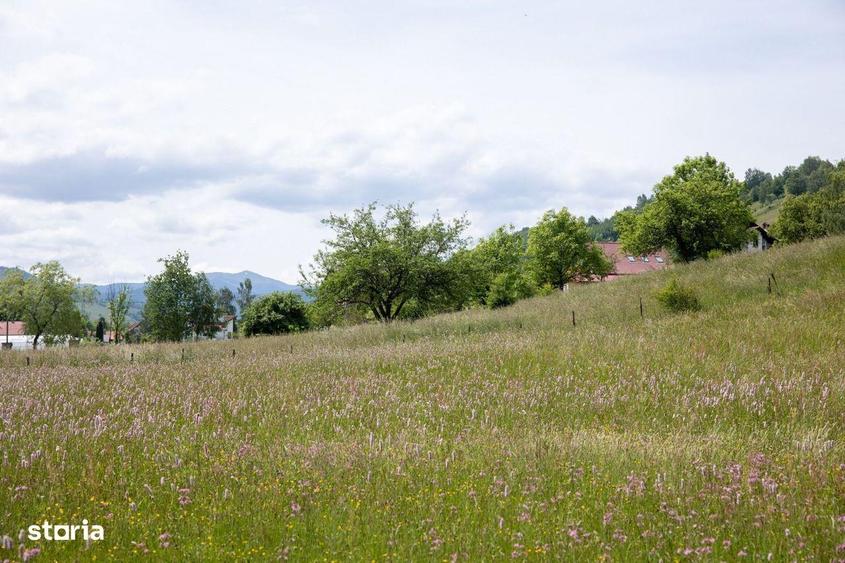 Teren intravilan - 1.050 mp in Bran cu utilitati priveli?te Bucegi - 5
