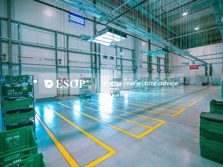 Spațiu industrial, de 2,200 mp, în Chitila