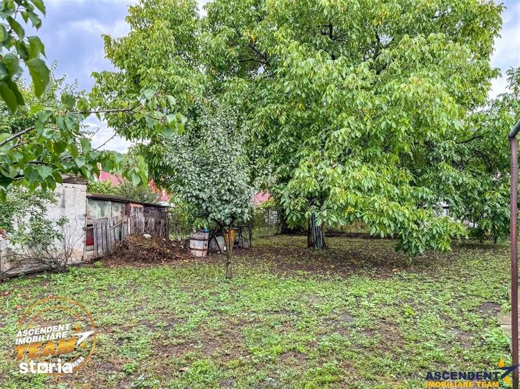 Casă cu 2 camere cu Teren 3315 Mp în Boroșneu Mare