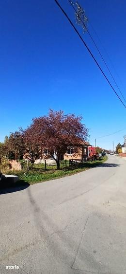 Casă cu 3 camere cu Teren 460 Mp în Căpușu Mare