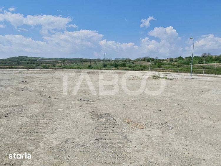 Teren de 40000 mp, în Teiu