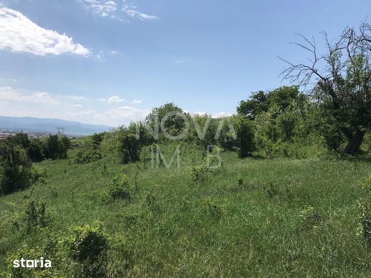 Teren de 8000 mp, în Gușterița