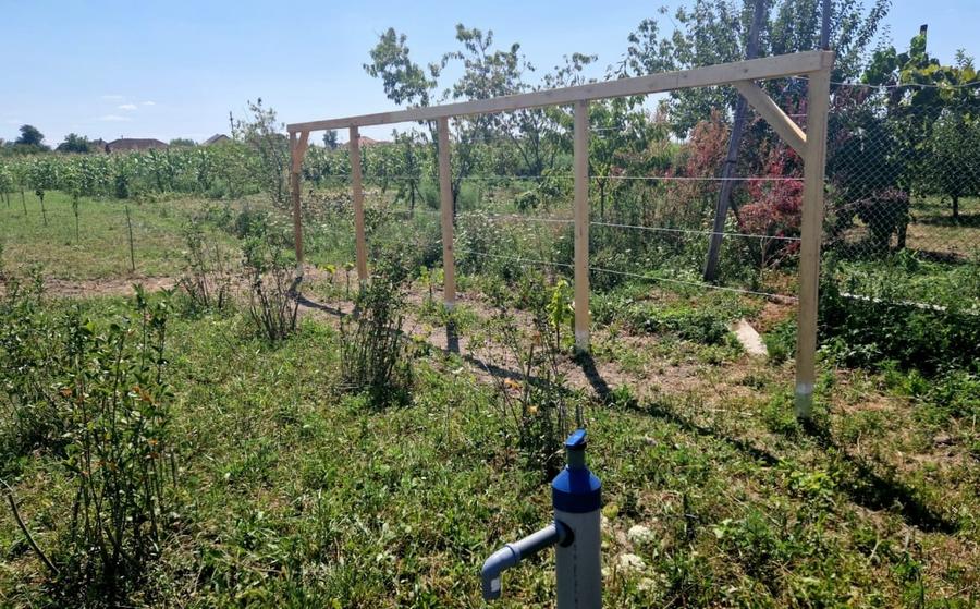 Casă  cu teren de 40 ari în localitatea Gelu - 3