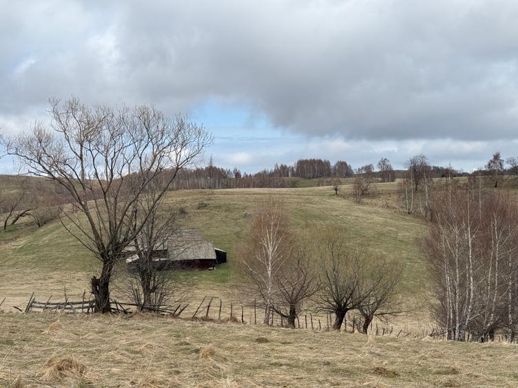 Teren agricol extravilan de 36000 mp, în Tilișca