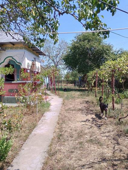 Casă cu 4 camere cu Teren 2800 Mp în Mozăceni