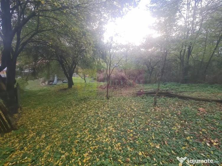 Casă cu 3 camere cu Teren 3410 Mp în Aluniș