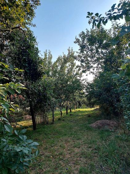 Casă în Alioș