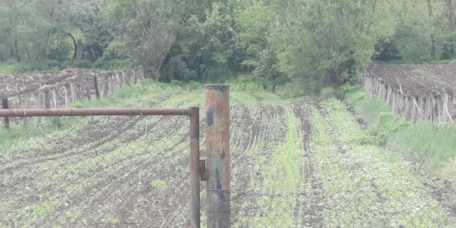 Teren de 1625 mp, în Șmig