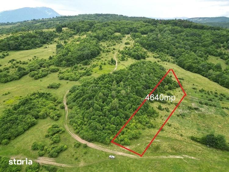 TEREN 4.640 MP , VULCAN BRASOV, 5 /mp, COMISION 0% - 9
