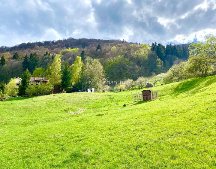 Teren intravilan 3.000 mp Bran Predelut | Via Transilvanica | Vedere Bucegi & Piatra Craiului | Autorizatie