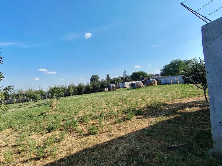 Teren Construcții de 2500 mp, în Odobești