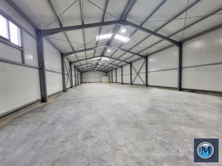 Spațiu industrial, de 600 mp, în Brazii de Sus