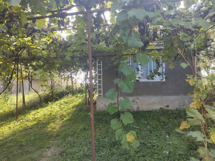 Casă cu 1 camere în Calea Mare