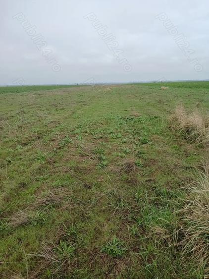 Teren de 27000 mp, în Vânători