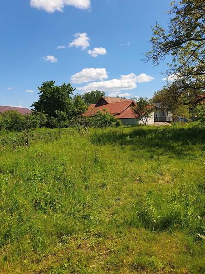 Casă cu 3 camere în Agrij