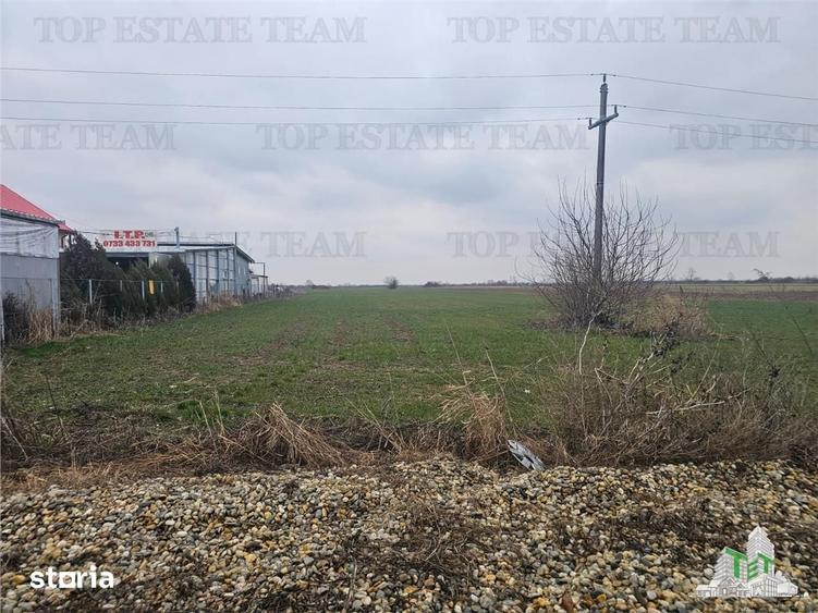 Teren de 7169 mp, în Florești