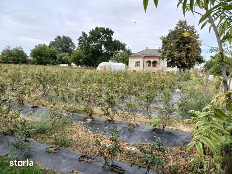 Teren de 1500 mp, în Călmățuiu