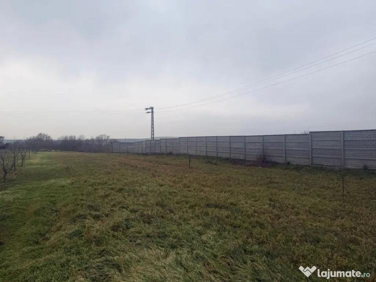Teren de 2500 mp, în Șimnicu de Sus