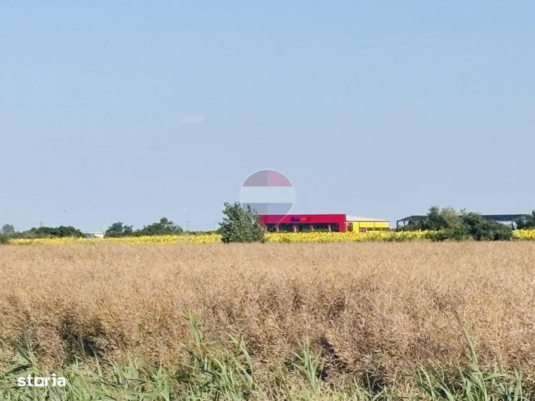 Spațiu comercial, în Malu