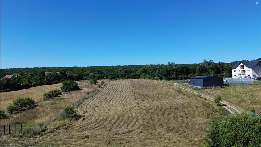 Teren Construcții intravilan de 6200 mp, în Mitocu Dragomirnei