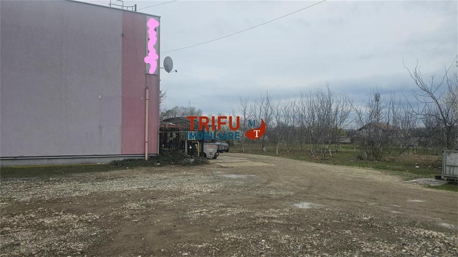 Teren Construcții intravilan de 5500 mp, în Ampoi 1