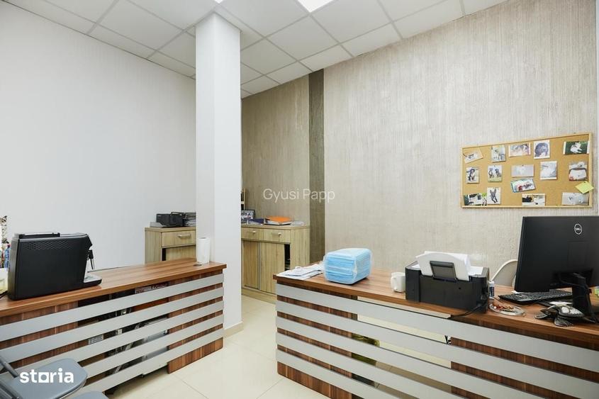 Spatiu comercial 160 mp + depozit 40 mp, Careiului 96