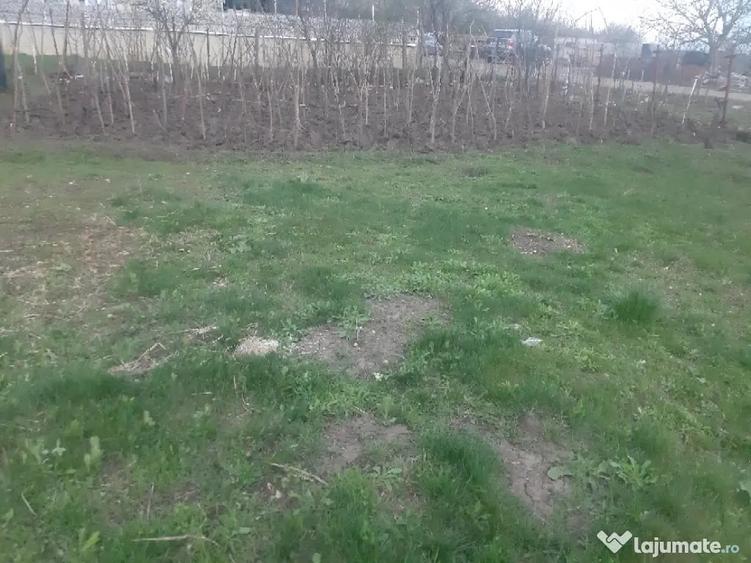 Teren de 1000 mp, în Lunca Cetățuii