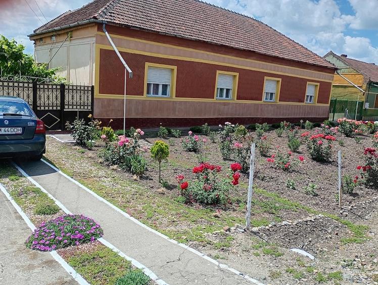 Casă cu 4 camere cu Teren 2800 Mp în Șipet