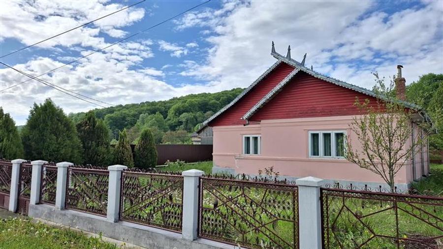 Casă individuală cu 4 camere cu Teren 2360 Mp în Gogoiu