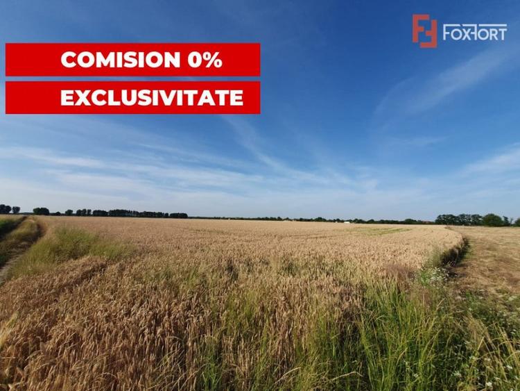 COMISION 0% Teren de vanzare intravilan de 24.700 mp - Padur - 13