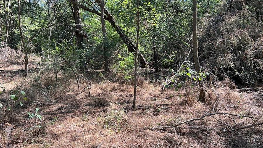 Teren extravilan de 3600 mp, în Bradu