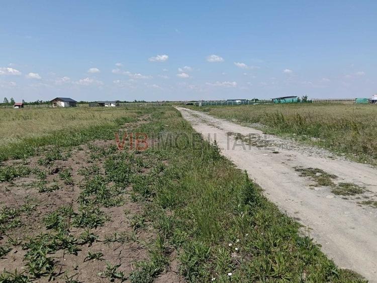Terenuri de vânzare | Săcălaz|  oportunități investiționale - 5