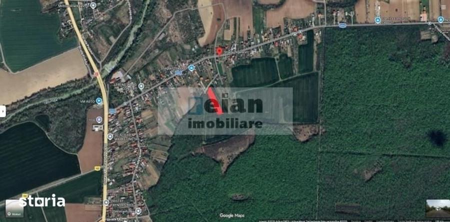 Ciolpani - Teren La Liziera Padurii 1234 Mp, Dn1 Toate Utilitatile - 4