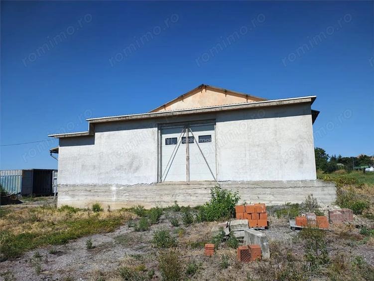 Spațiu comercial, de 972 mp, în Mișca