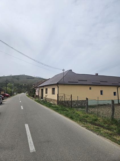 Spațiu comercial, în Petrani