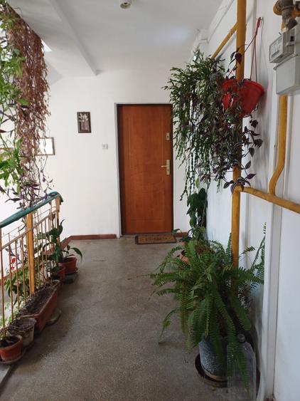 Apartament cu 2 camere decomandat în Nord