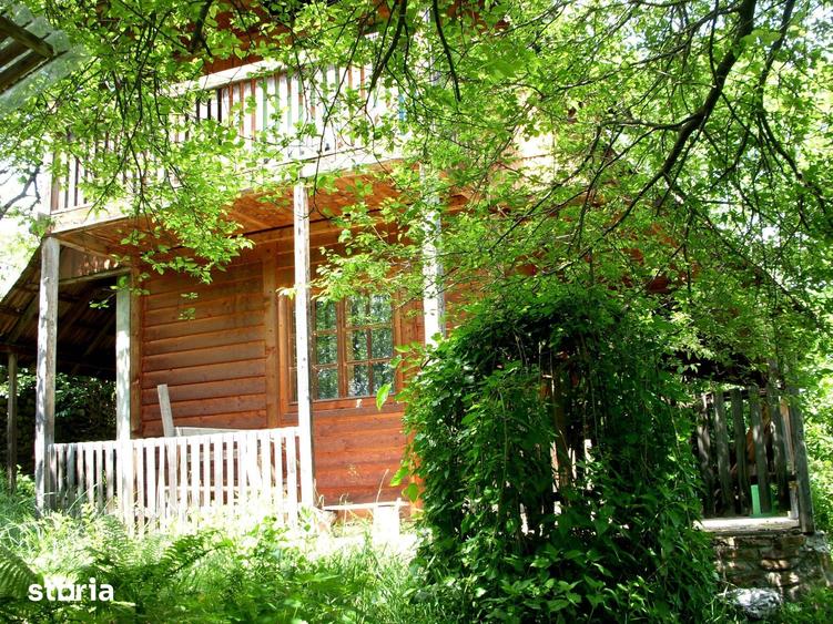 Teren de 14000 mp, în Mihai Viteazu