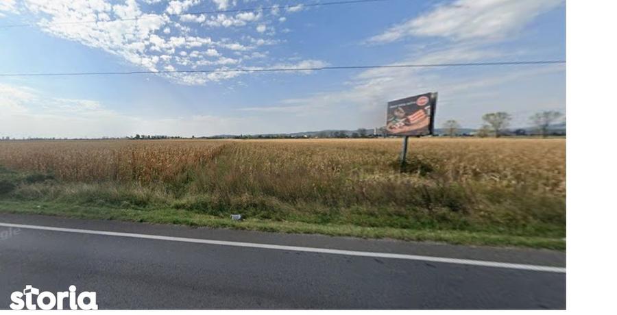 Teren de 5000 mp, în Florești