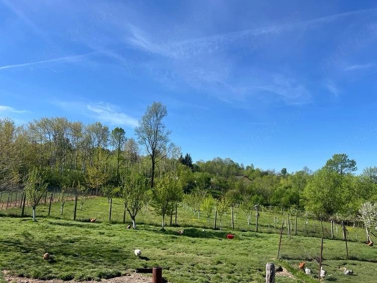 Casă cu Teren 9000 Mp în Bumbești-Pițic