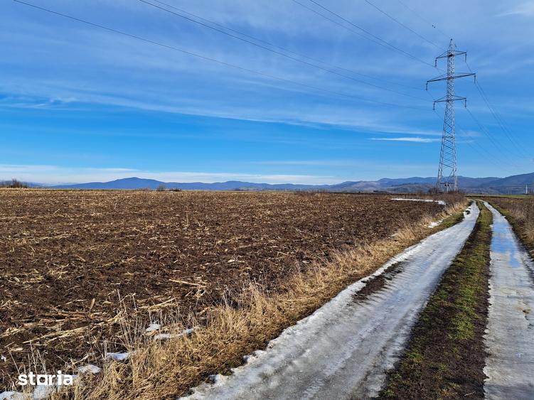 Teren de 3500 mp, în Movilei