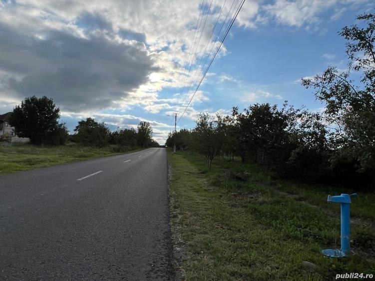 Teren de 1600 mp, în Cuied